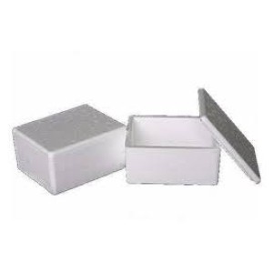 CAIXA TÉRMICA 500G - ISOTERM